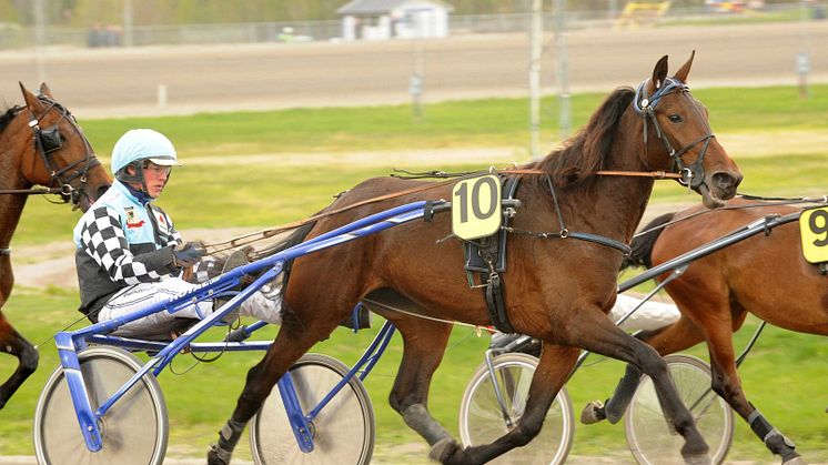 Välfyllt startfält när Rikstravets hästar möts igen