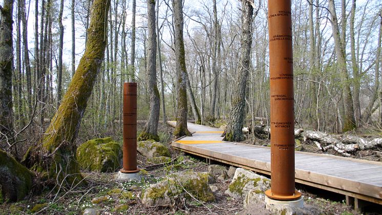  Cortenrör i varierande storlekar Strandskogen Arninge-Ullna