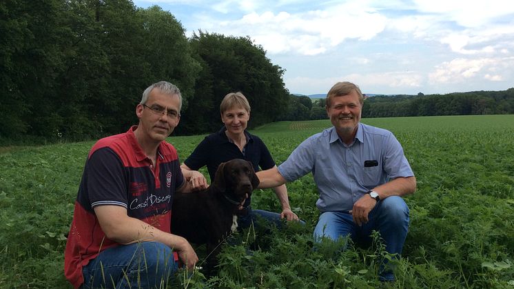 Blühmischung schon gut angewachsen: Detlef (l.) und Petra Grundmann mit Hund Paul aus Herford sowie Norbert Darnauer  Asset Manager bei Energieservice Westfalen Weser freuen sich auf einen bunten Blühstreifen. 