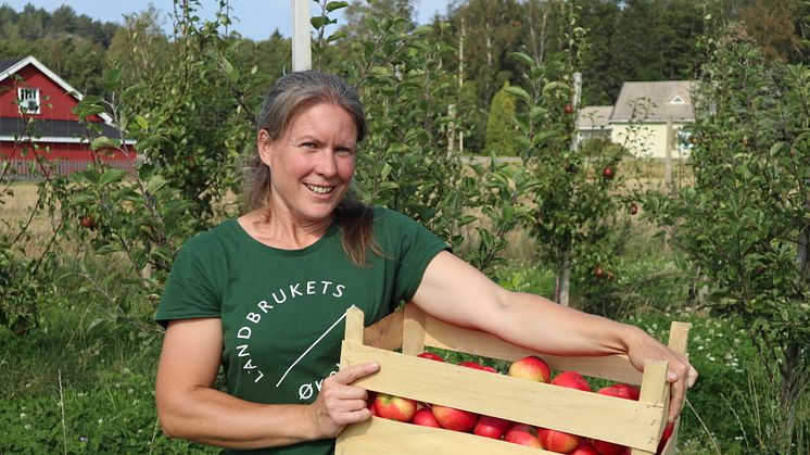 #Inspirasjonsbonde Astrid Bjørnson selger alt hun kan produsere av økologisk frukt og bær. Foto: Økologisk Norge/Marte Guttulsrød