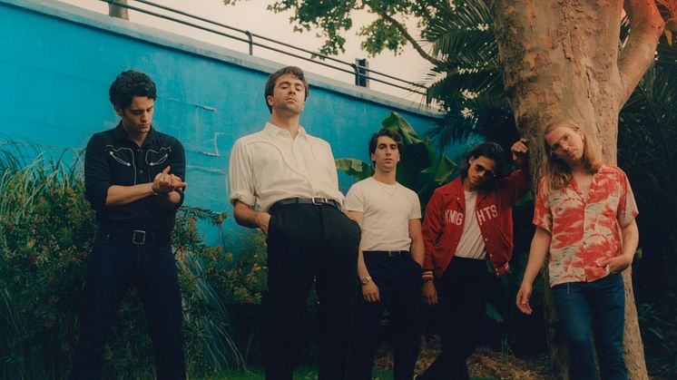 The Vaccines