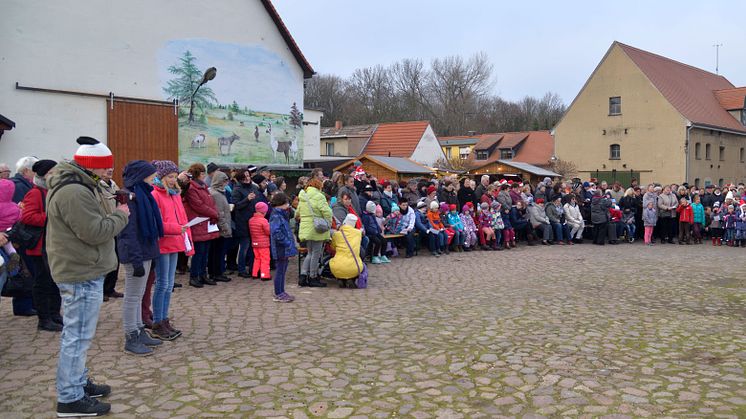 Weihnachten im Stall auf dem Klostergut Mößlitz: Bärenherz erhält erneut großartige Spende