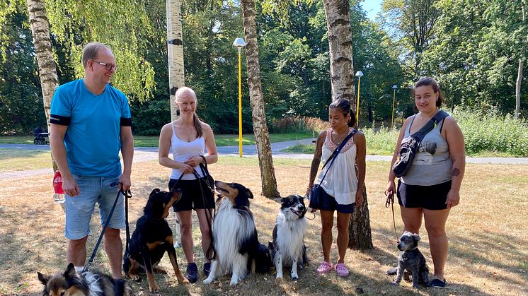 Vovveträningen på sommarens varmaste dag blir under svalkande skugga. Från vänster, Tomas med Kajsa, långhårig collie, Sara med Charlie, schäfer/rottweiler och Storm, collie, Monique med Milo, bordercollie/collie och Carolina med Rex, pudel.