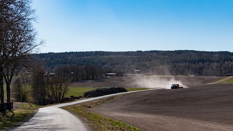 Utlysning av 40 miljoner kronor till behovsdriven lantbruksforskning