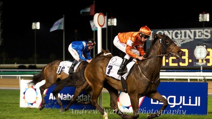 Svenska Volatile vann Meydan Classic