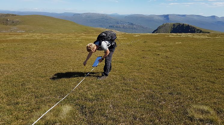 Study author Dr Andy Suggitt surveying habitat at Creag Meagaidh NNR, Scotland (Credit: NERC refugia project team).