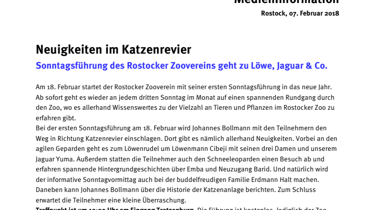 Neuigkeiten im Katzenrevier: Sonntagsführung des Rostocker Zoovereins geht zu Löwe, Jaguar & Co.