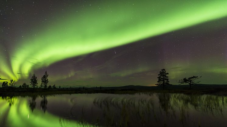 Arlanda´s visitors are welcomed with new images of Sweden