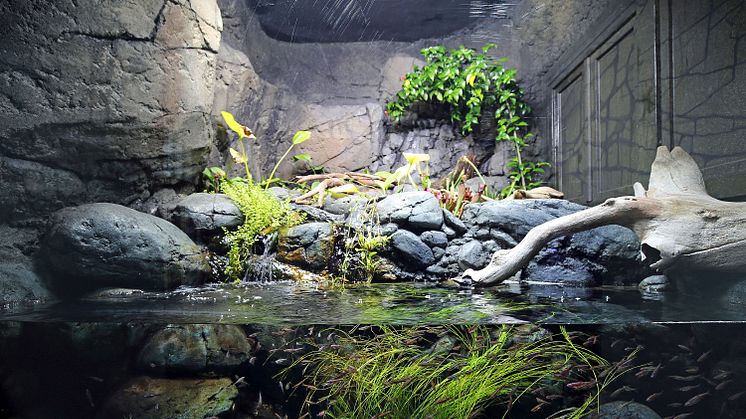 Aquarium Zoo Leipzig - Nordamerikanischer Flusslauf