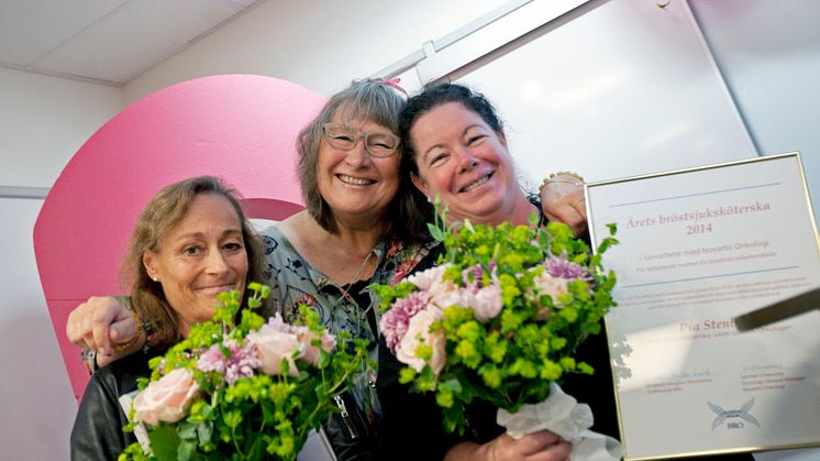 2014 års rosa hjältar