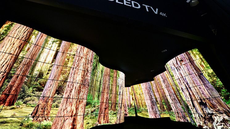 “LG OLED CANYON” IMPONERER DELTAKERE PÅ CES