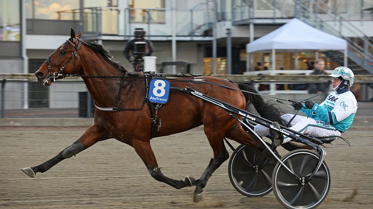 Örjan Kilström på Åby. FOTO: MALIN ALBINSSON / TR BILD