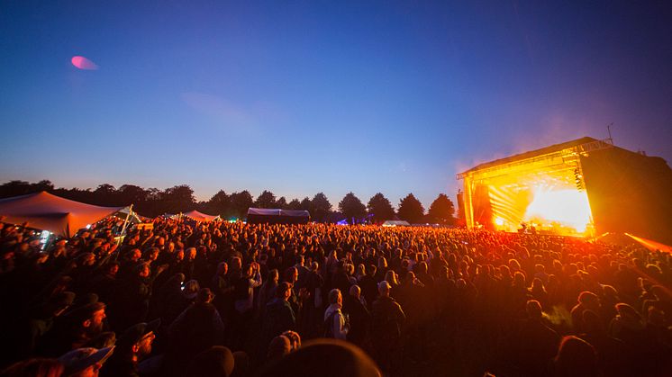 Festival og biludlejningsselskab går sammen om at bekæmpe spirituskørsel