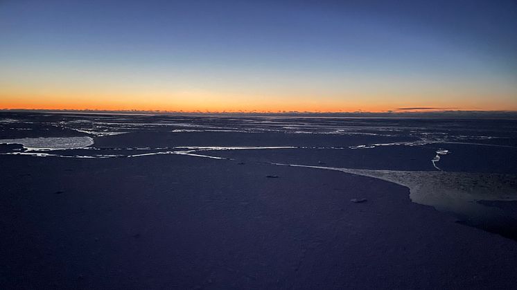 Foto: Sünnje Basedow (UiT Norges Arktiske Universitet)