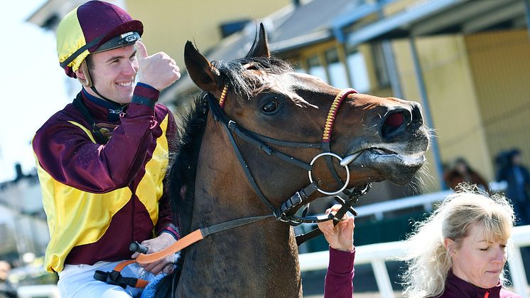 Brownie är högst rankad inför årets upplaga av Stockholms Stora Pris. Här med Oliver Wilson efter segern i Pramms Memorial