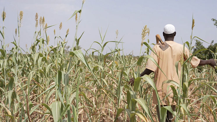 Idrissa Ouedraogo, bonde i Burkina Faso. Foto: Cissé Amadou/Oxfam