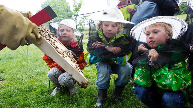 Sparebankstiftelsen DNB etterlyser gode prosjekter 