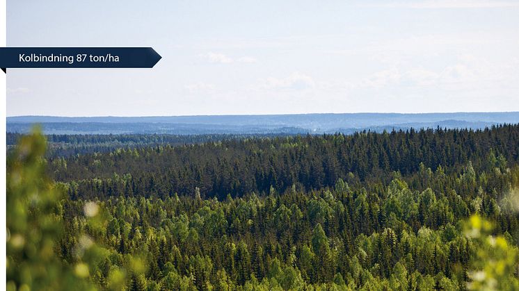 Ny märkning ska visualisera skogsfastigheters klimatnytta