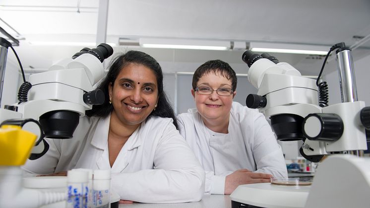 Dr Tora Smulders-Srinivasan and Dr Amanda Jones