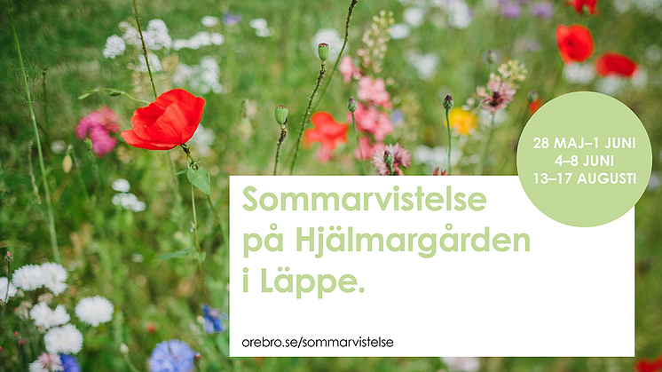 I år arrangerar Vård- och omsorgsförvaltningen sommarvistelse för äldre vid tre tillfällen.