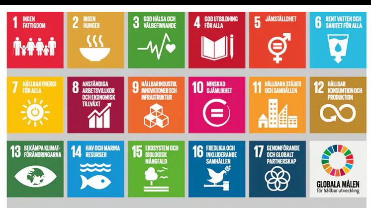 Agenda 2030 är en gemensamt överenskommen global agenda som lyfter fram FN:s 17 globala hållbarhetsmål,