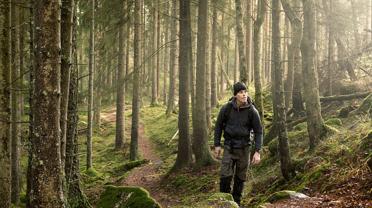 Trots orosmoln ser skogsägarna ljust på skogen som inkomstkälla