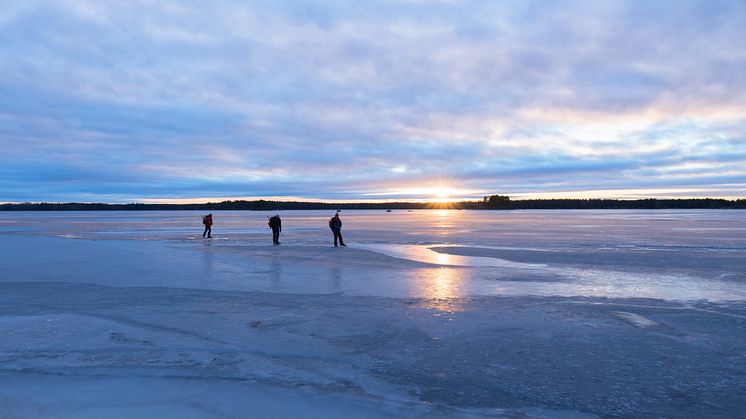 Foto: Conny Sjöström