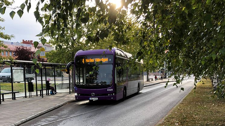 Piteå Stadsbuss är fria från fossila utsläpp.	Foto: Rebecka Granström