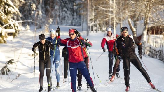 Över 30 elitidrottsstudenter tävlar under SM-veckan 