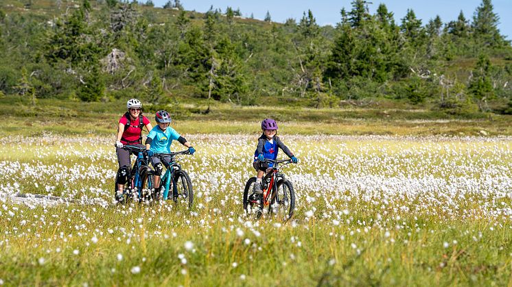 Flere svenske sykkelgjester til Trysil når Scandinavian Mountains Airport får sommerruter. Foto: Jonas Sjögren/Trysil