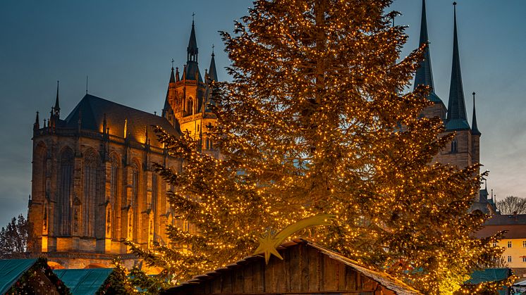 10. Weihnachtsbaum in Erfurt