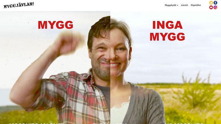 Myggjävlar – nya webbplatsen för dig som hatar mygg