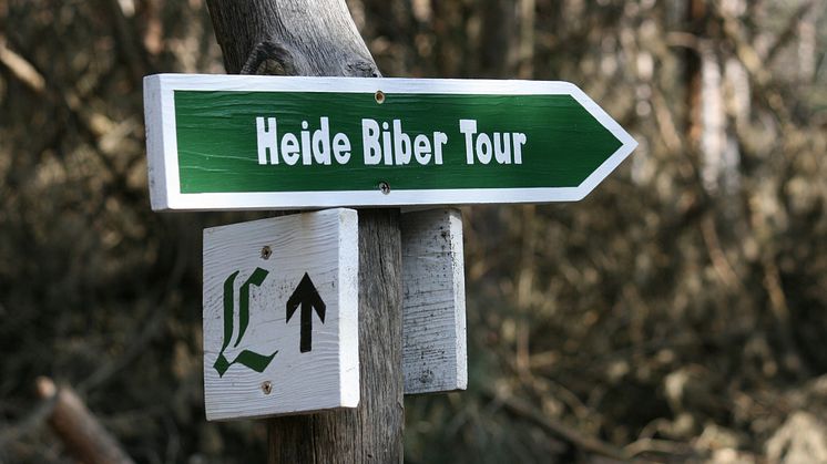 Heide-Biber-Tour 