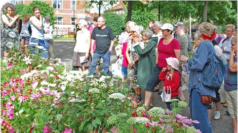 Tema 70-tal för årets sommarblomsplanteringar