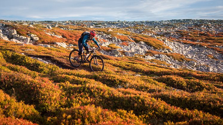 Høstfjellet i all sin prakt! Foto: Ola Matsson