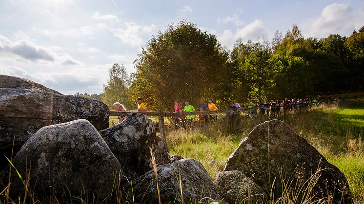 Morgonträning i Almedalen tillsammans med ICA, välj mellan löpning, simning eller cykling. På bilden syns löpare under Lidingöloppet 2016. Foto: Peter Holgersson / BILDBYRÅN 