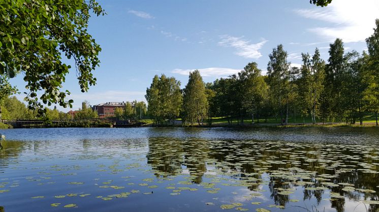 Östanforsån med Born i fonden. Foto: Jörgen Nykvist