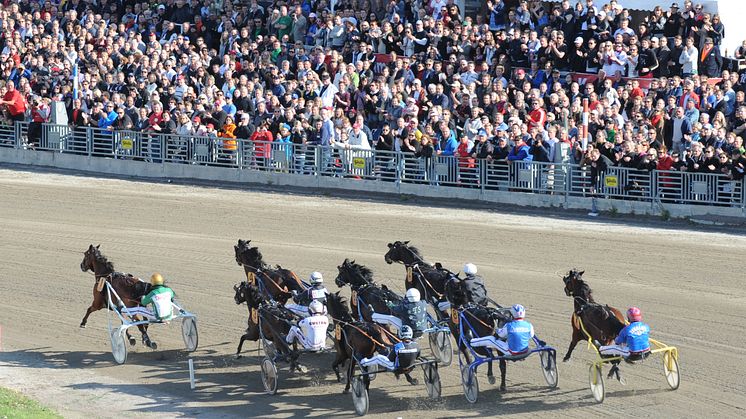 Elitloppet: Fantastisk sport, omsättningsrekord och höga tittarsiffror