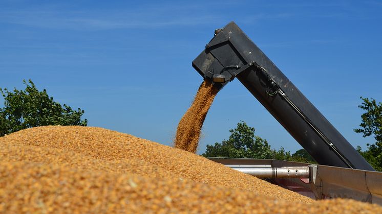 Danish Agro reviderer udbyttepolitik og øger overskudsudlodning for 2018