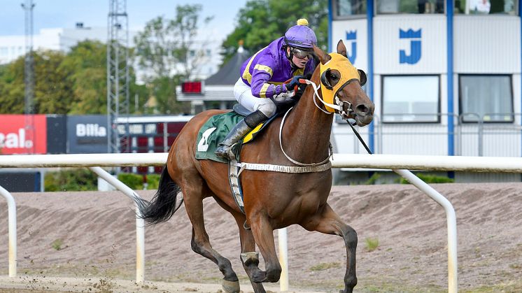 ​​​Annie Nilsson Lindahl och hästen Bearhunter vinner på Jägersro den 15 augusti. Foto: Stefan Olsson/Svensk Galopp