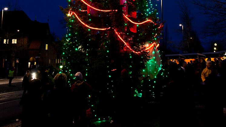 Granar i fokus när julfirandet gör sitt intåg i Östersund