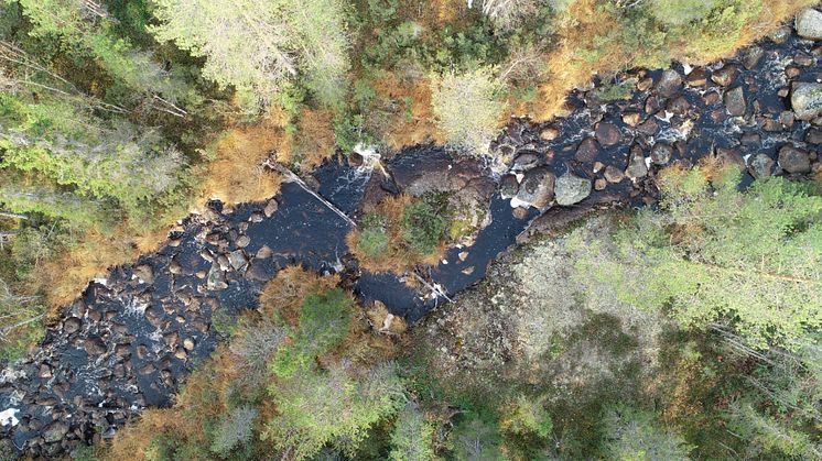 Aerial view of an unmodified boulder-bed stream showing the density of boulders and the diverse habitats these create. Photo: Richard Mason and Jens Andersson