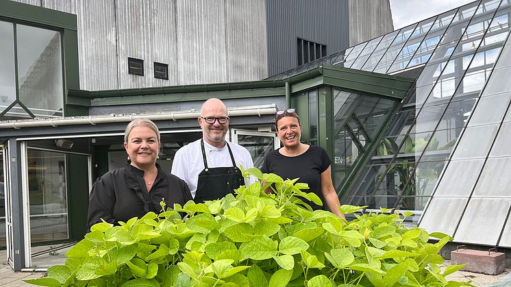 General Manager, Anne Mette Kyhn, køkkenchef i Kokkenes Køkken, Peter Sindt Hansen og driftschef i Kokkenes Køkken, Camilla Højrup, i urtehaven. 