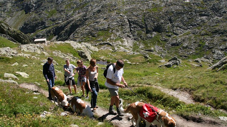 Passwanderung mit dem Bernhardiner in Martigny (Wallis)