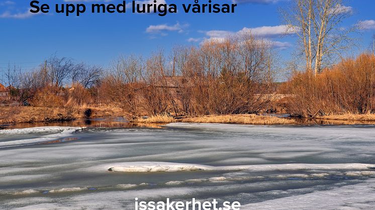 Se upp med luriga vårisar