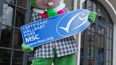 Liseberg får MSC-certifierade restauranger