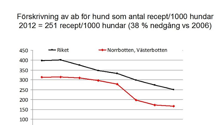 Förskrivning av antibiotika för hund