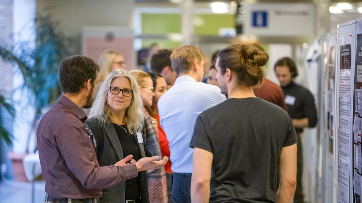 Professor Anna Linusson Jonsson minglar på en workshop med Företagsforskarskolan vid Umeå universitet.