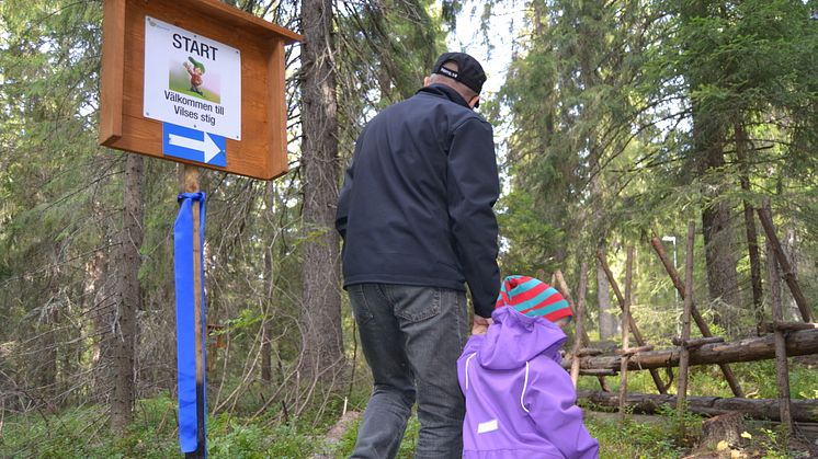 Promenad längs Vilses Stig i Vitbergsområdet