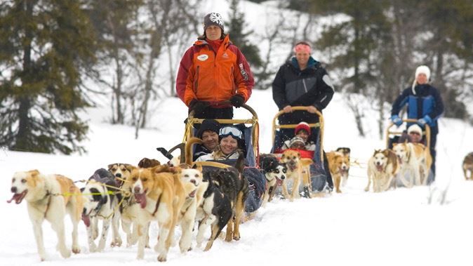 Get your SkiStar holiday off to a flying start with a dog sled transfer